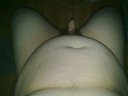 Gay chubby network member
